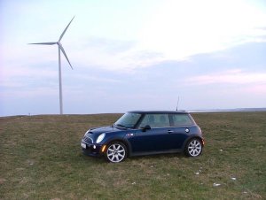 Indiblue on a field in Germany near Quiedersbach