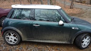 Mini doesnt mind getting dirty up on mountain trails