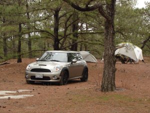 Mini goes camping.