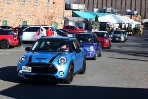 Texas MINI