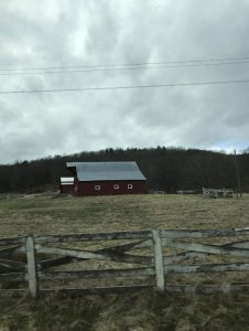 Maple Festival 2018