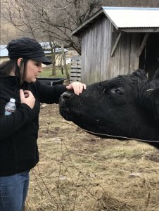 Maple Festival 2018