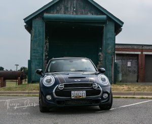 MINIs-7.jpg