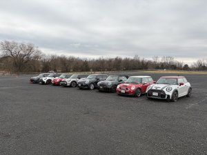 Quattro Goombas 10.jpeg