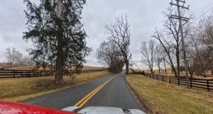 Quattro Goombas 4.jpg