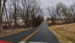 Quattro Goombas 5.jpg