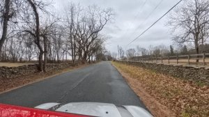 Quattro Goombas 6.jpg