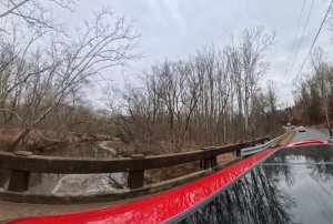 Quattro Goombas 7.jpg