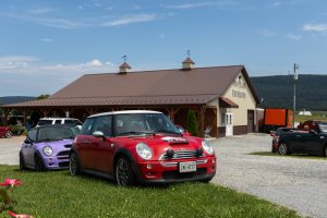 IMG_1765.jpg